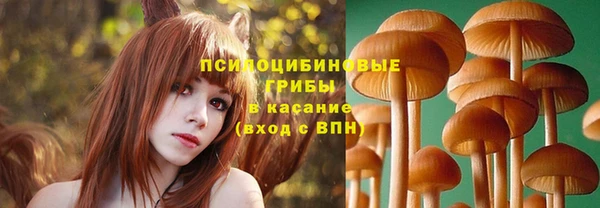 ECSTASY Балабаново