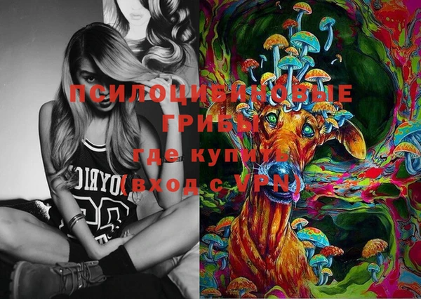 молекула духа Баксан