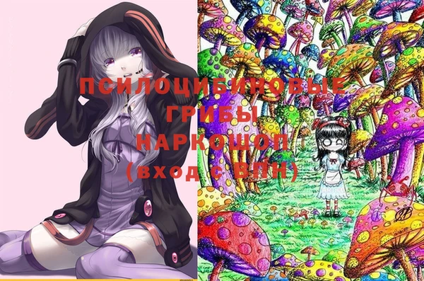 молекула духа Баксан