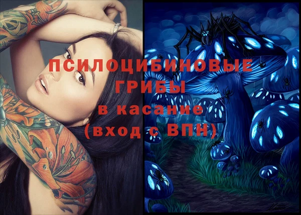 ECSTASY Балабаново