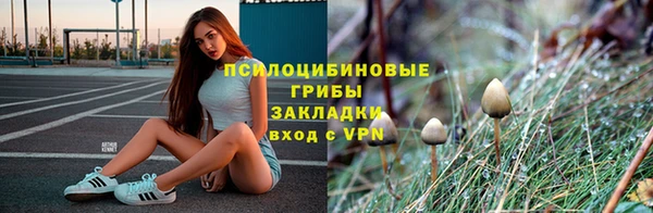молекула духа Баксан